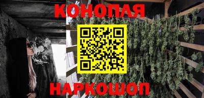 ПСИЛОЦИБИНОВЫЕ ГРИБЫ Камышлов