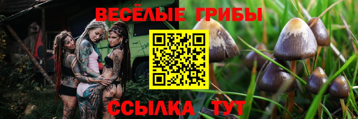 Галлюциногенные грибы GOLDEN TEACHER Красноярск